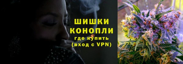 прущий лед Бородино