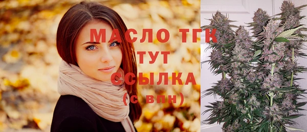 прущий лед Бородино