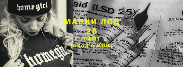 прущий лед Бородино