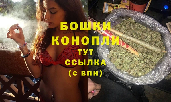 прущий лед Бородино