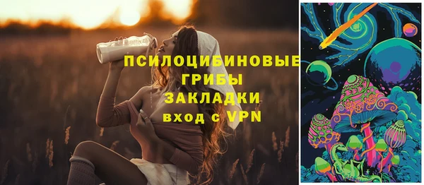 прущий лед Бородино