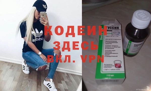 прущий лед Бородино
